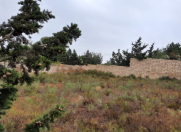 Satılır 7 sot torpaq Dübəndi bağları