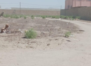 Satılır 15 sot torpaq Türkan