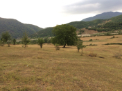 Satılır 200 sot torpaq Şamaxı