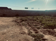 Satılır 5 sot torpaq Binə