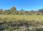 Satılır 54 sot torpaq Xudat