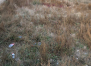 Satılır 2 sot torpaq Ramana