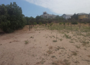 Satılır 8 sot torpaq Mərdəkan