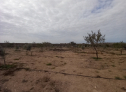 Satılır 250 sot torpaq Dübəndi bağları