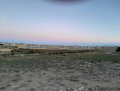 Satılır 29 sot torpaq Saray