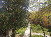 Satılır 6 sot torpaq Həzi Aslanov