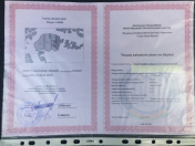 Satılır 5 sot torpaq Məhəmmədli