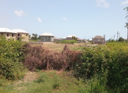 Satılır 6 sot torpaq Lənkəran