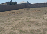 Satılır 14 sot torpaq Zirə