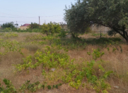 Satılır 7 sot torpaq Novxanı