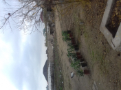 Satılır 7.8 sot torpaq Binə