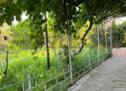 Satılır 4 otaqlı 200 m2 həyət evi Naxçıvan