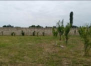 Satılır 10 sot torpaq Xaçmaz