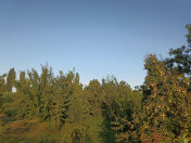 Satılır 34 sot torpaq Göyçay