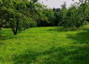 Satılır 63 sot torpaq Qəbələ