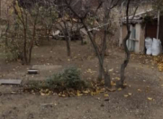 Satılır 6 sot torpaq Badamdar