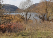 Satılır 40 sot torpaq Şamaxı