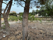 Satılır 24 sot torpaq Bilgəh