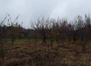 Satılır 15 sot torpaq Samux