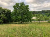 Satılır 20 sot torpaq Qəbələ