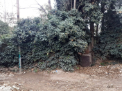 Satılır 1.6 sot torpaq Biləcəri