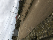 Satılır 4 sot torpaq Digah