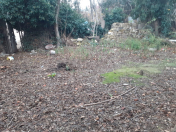 Satılır 1.6 sot torpaq Biləcəri