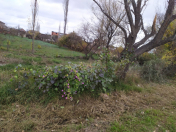 Satılır 14 sot torpaq Xaçmaz