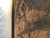 Satılır 8 sot torpaq Fatmayı