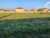 Satılır 76 sot torpaq Saray