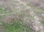 Satılır 10 sot torpaq Novxanı