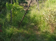 Satılır 0 sot torpaq Bərdə