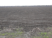 Satılır 450 sot torpaq Xaçmaz