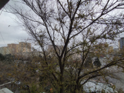 Satılır 1 otaqlı 31 m2 köhnə tikili 5 mkr