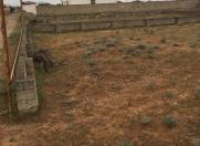 Satılır 10 sot torpaq Türkan