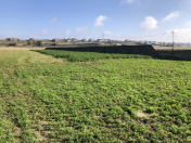 Satılır 400 sot torpaq Məhəmmədli