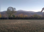 Satılır 11 sot torpaq Quba