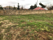 Satılır 6 sot torpaq Novxanı
