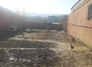 Satılır 4 otaqlı 114 m2 həyət evi Xocəsən