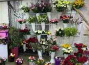 İcarəyə verilir 1 otaqlı 20 m2 obyekt Qara Qarayev m.