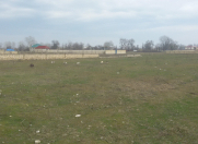 Satılır 6 sot torpaq Xudat