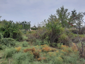 Satılır 75 sot torpaq Mingəçevir