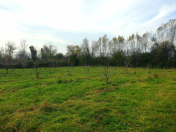 Satılır 10 sot torpaq Göyçay