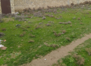 Satılır 9 sot torpaq Masazır