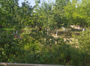 Satılır 7 otaqlı 12 m2 həyət evi Salyan