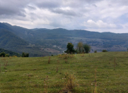 Satılır 100 sot torpaq Quba