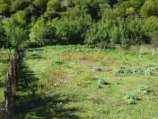 Satılır 14 sot torpaq İsmayıllı