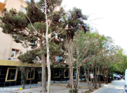 İcarəyə verilir 3 otaqlı 90 m2 köhnə tikili 28 May m.