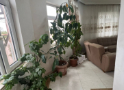 İcarəyə verilir 5 otaqlı 400 m2 villa NZS