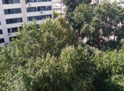 Satılır 3 otaqlı 70 m2 köhnə tikili 8 mkr